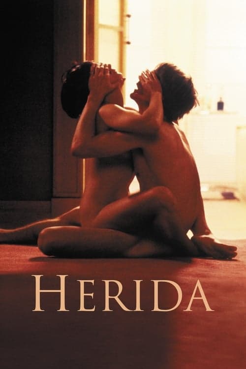 Póster de Herida