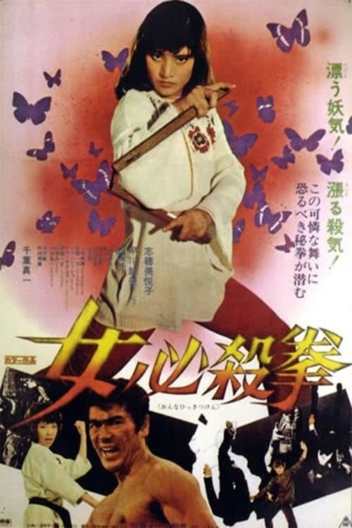Póster de Sister Street Fighter