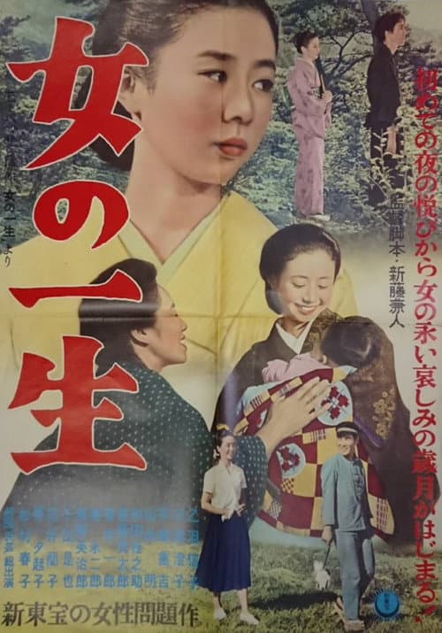 Póster de 女の一生