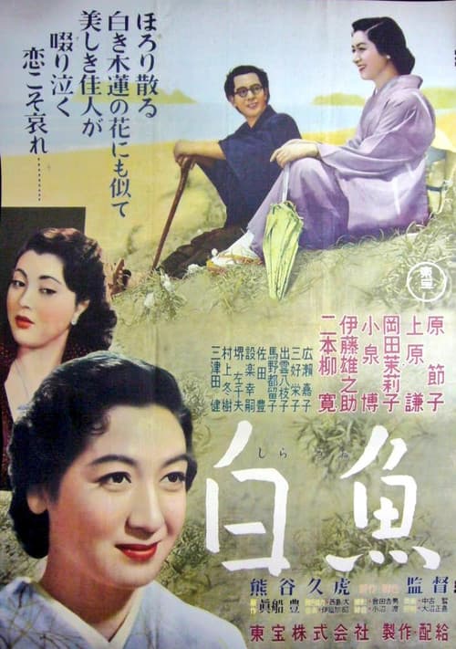 Póster de 白魚