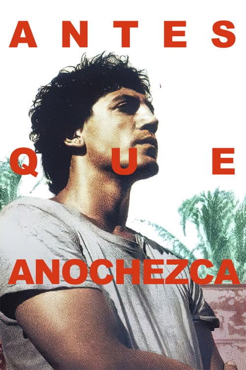 Póster de Antes que anochezca