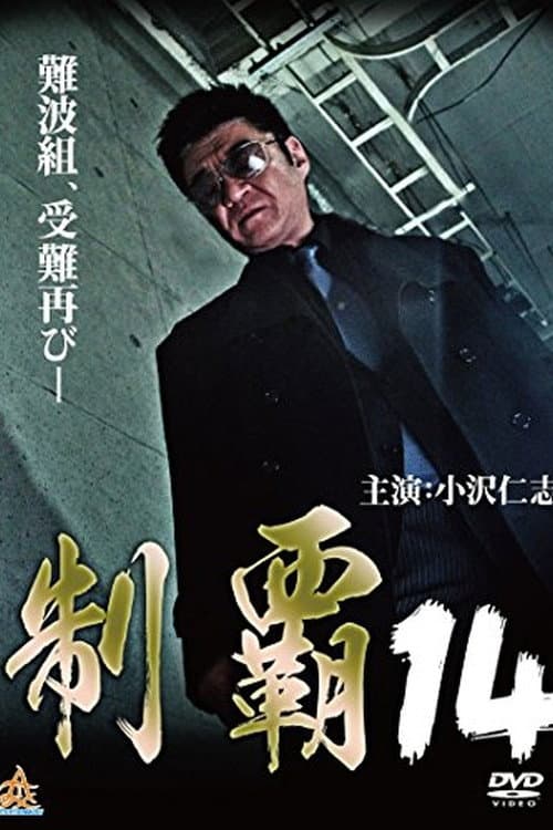Póster de 制覇14