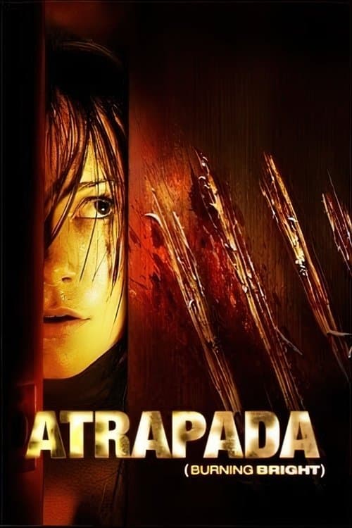Póster de Atrapada