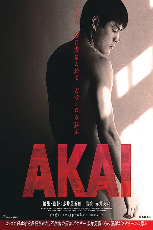 Póster de 赤井