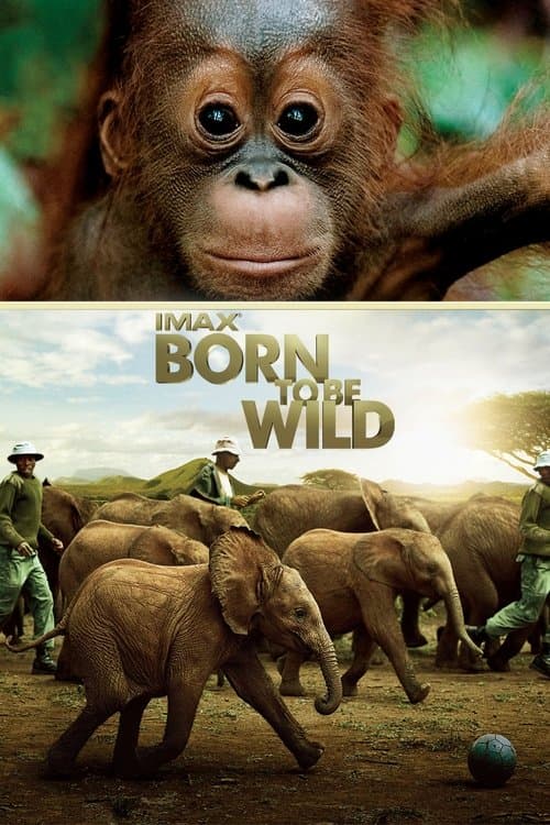 Póster de Born to Be Wild