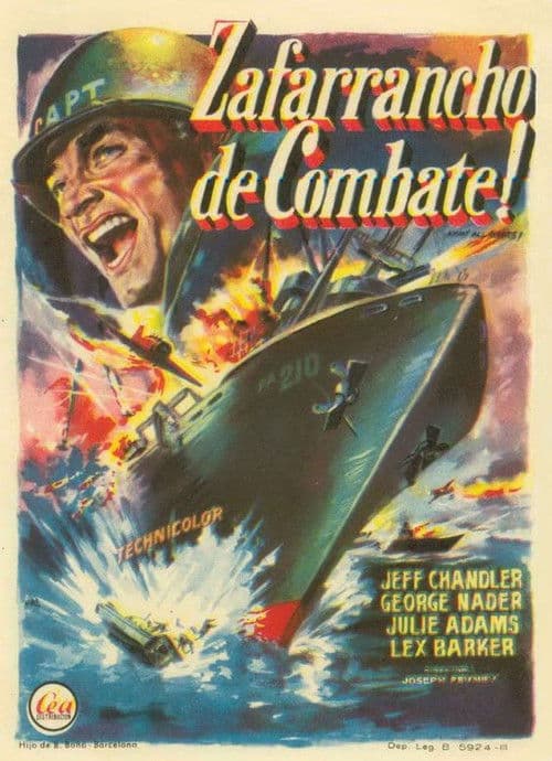 Póster de Zafarrancho de combate