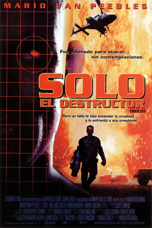 Póster de Solo, el destructor