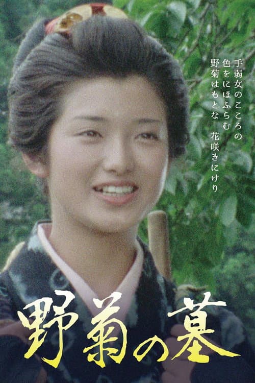 Póster de 野菊の墓