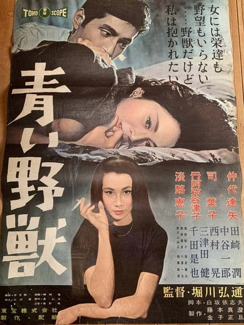 Póster de 青い野獣