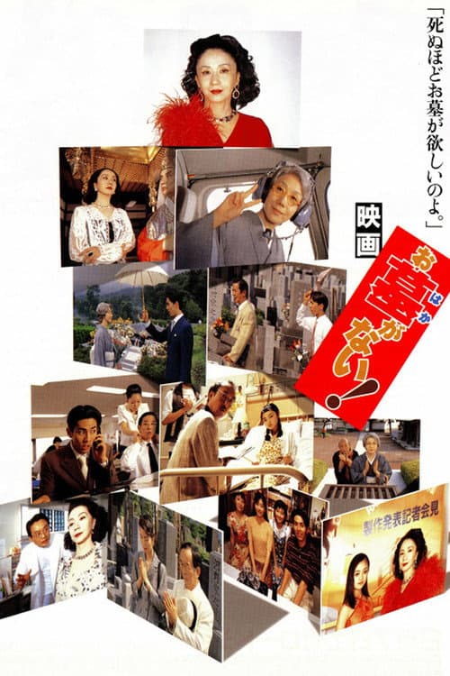 Póster de お墓がない!
