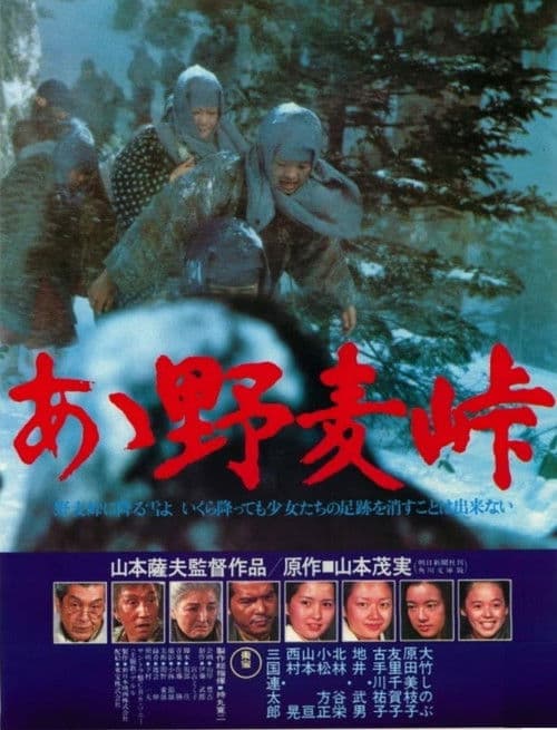 Póster de あゝ野麦峠