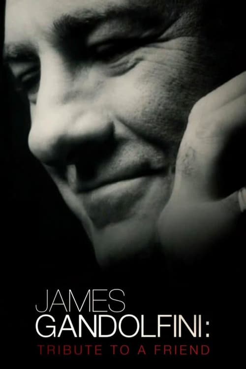 Póster de James Gandolfini: Tribute to a Friend