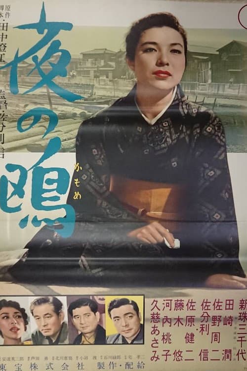 Póster de 夜の鴎