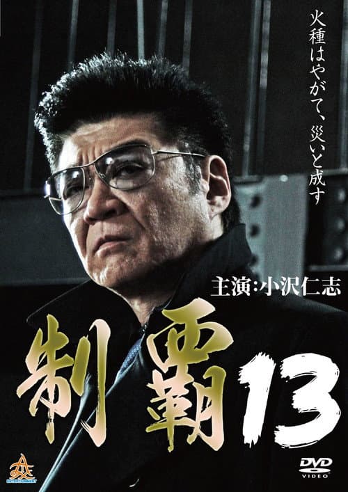 Póster de 制覇13