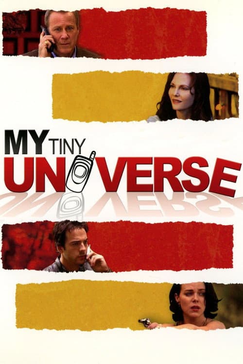 Póster de My Tiny Universe
