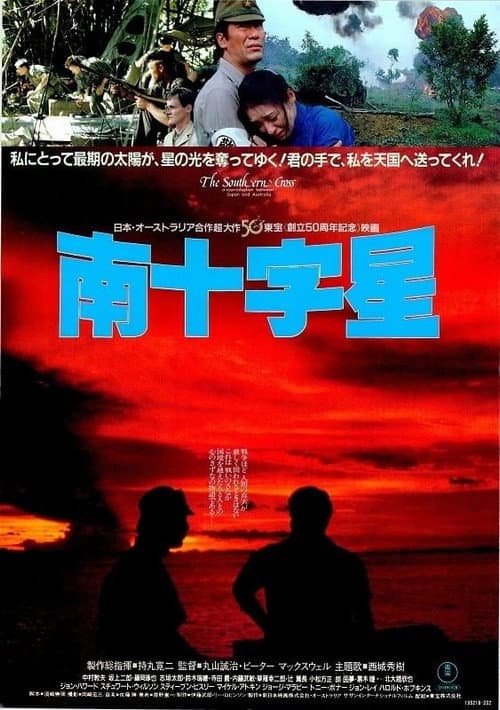 Póster de 南十字星
