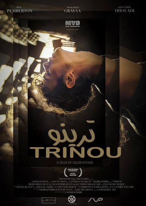 Póster de Trinou