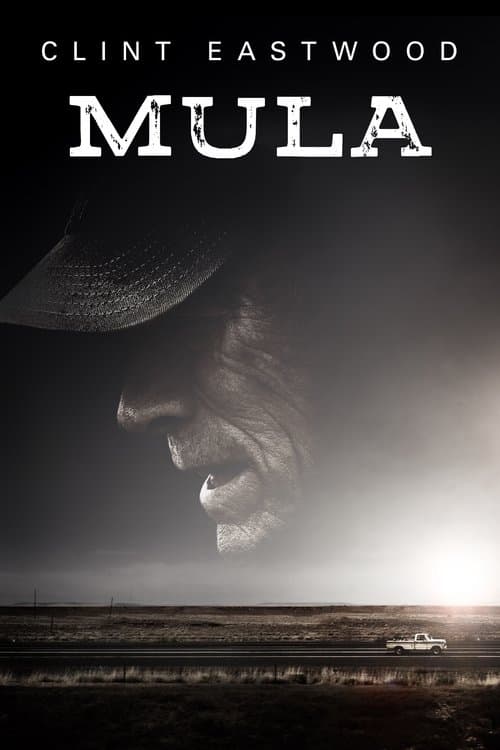 Póster de Mula