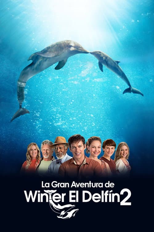 Póster de La gran aventura de Winter el delfín 2