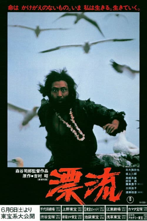 Póster de 漂流