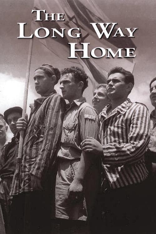 Póster de The Long Way Home