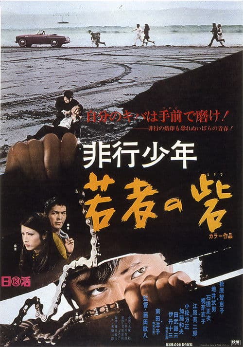 Póster de 非行少年 若者の砦