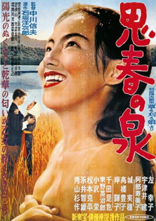 Póster de 思春の泉
