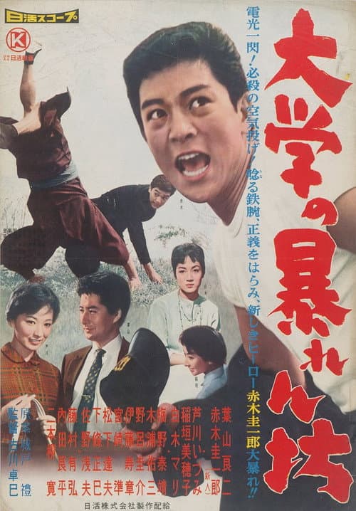 Póster de 大学の暴れん坊