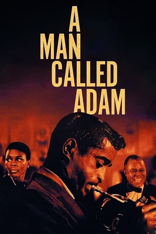 Póster de A Man Called Adam