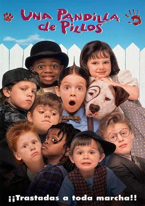 Póster de Una pandilla de pillos
