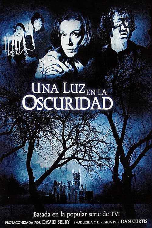 Póster de Una luz en la oscuridad