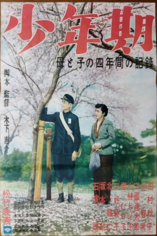 Póster de 少年期