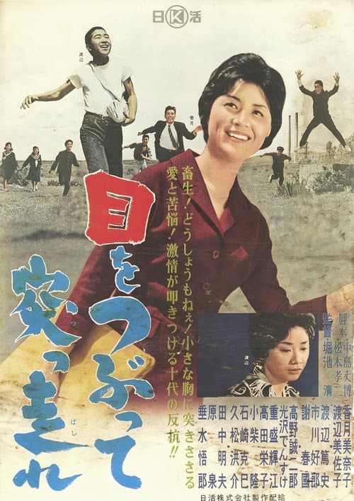 Póster de 目をつぶって突っ走れ