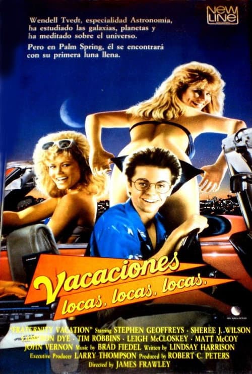 Póster de Vacaciones locas, locas, locas