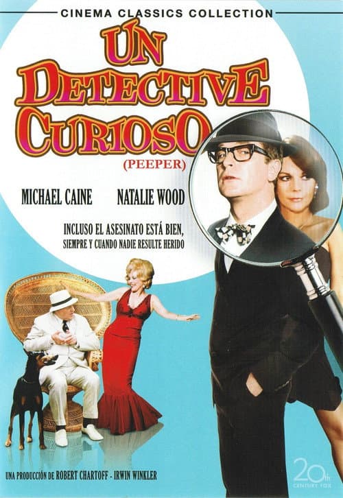 Póster de Un detective curioso