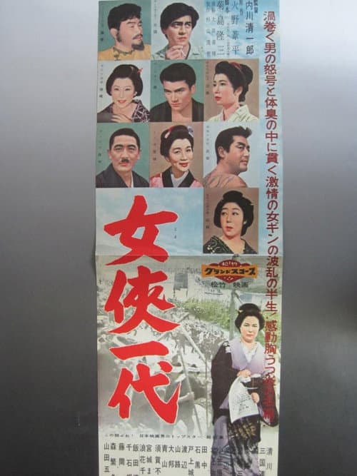 Póster de 女侠一代