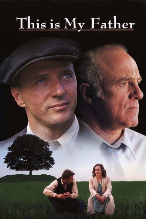 Póster de Un viaje desde el corazón